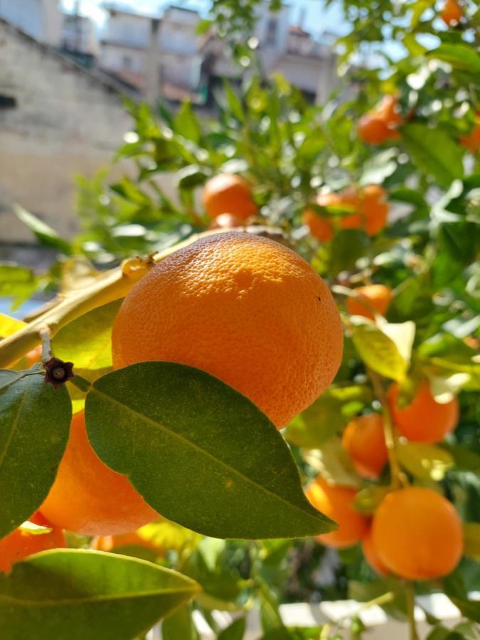 Orange Tree Apartment Asproválta Luaran gambar